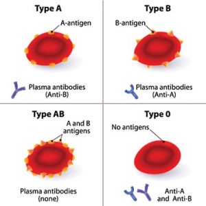 Diagram illustrating the antigens present for each blood type