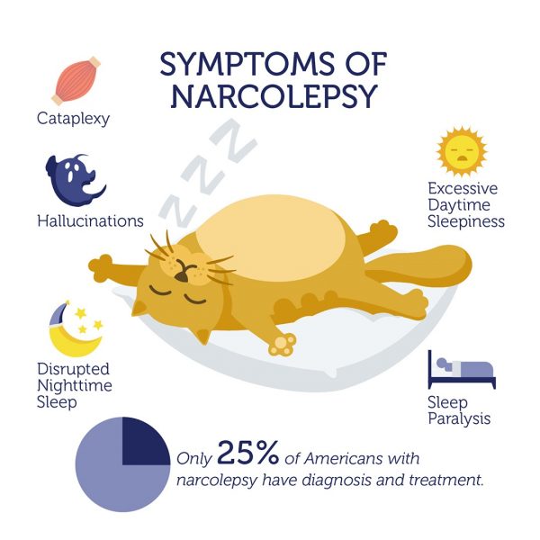 research studies on narcolepsy