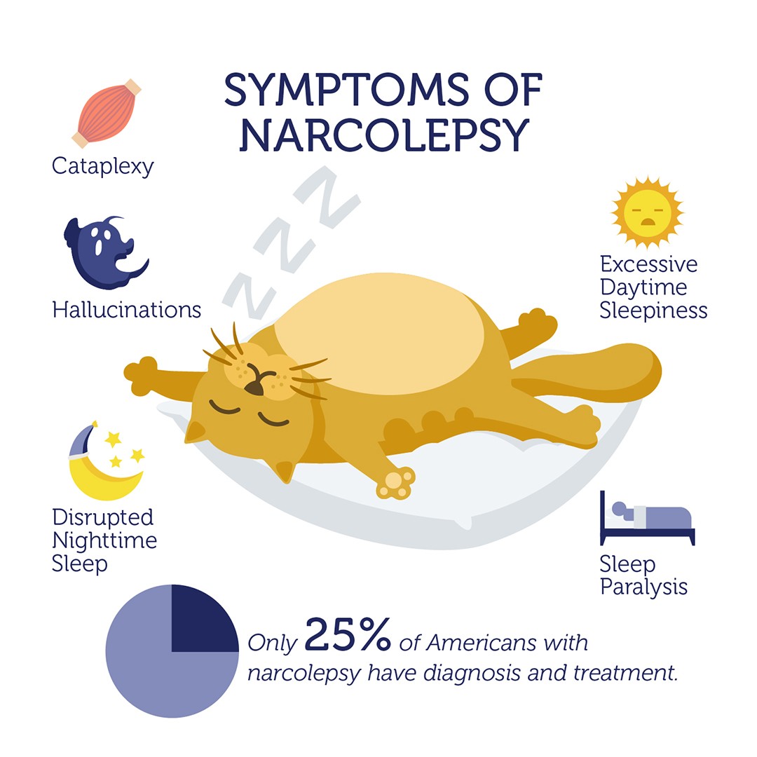 type 1 narcolepsy with cataplexy