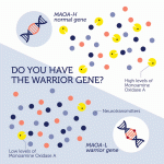 warrior-2