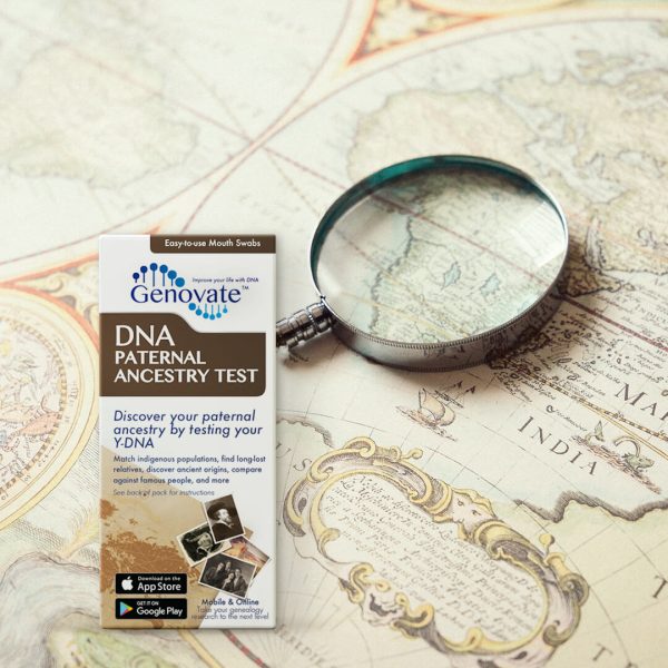 DNA Paternal Ancestry Test