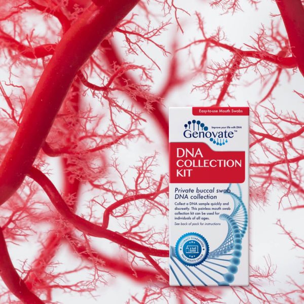 Cardiovascular Disease (ApoE) DNA Test